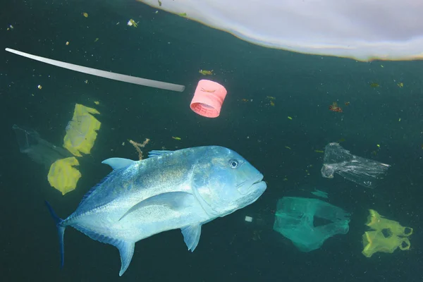 Muovijätettä Merivedessä Kalojen Kanssa Pilaantumisen Käsite — kuvapankkivalokuva