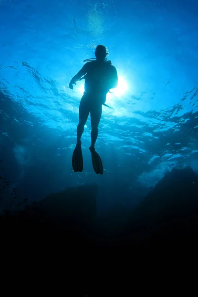 Водолази Плавають Під Водою Коралових Рифах — стокове фото