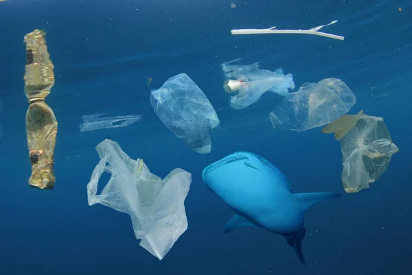 Hvalhai Svømmer Vann Med Plastsøppel Forurensningsproblem Redde Planeten – stockfoto