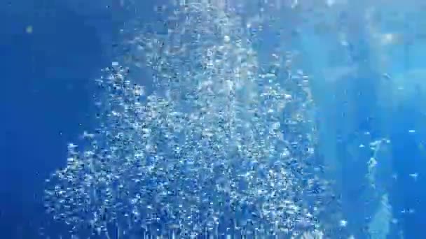 Underwater Air Bubbles Blue Ocean Backdrop — Stock Video