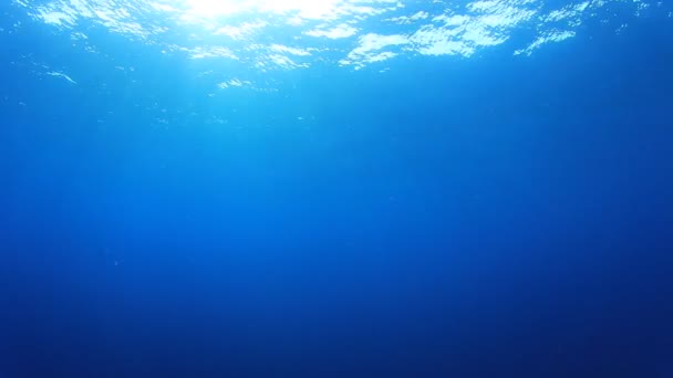 阳光从头顶射出 穿过深蓝色的海水 — 图库视频影像