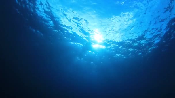 Підводна Відеозйомка Океані Сонячне Світло Морі — стокове відео