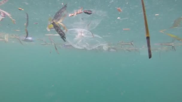 Plastförorening Havet Miljöproblem — Stockvideo