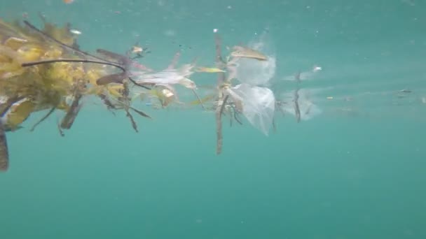 Plastförorening Havet Miljöproblem — Stockvideo