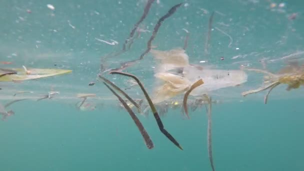 Semporna Malaysia Juni 2019 Umweltverschmutzung Durch Plastik Den Ozeanen — Stockvideo