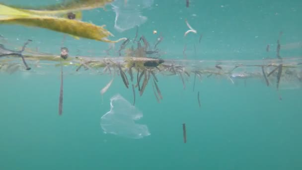 Plastikverschmutzung Den Ozeanen Umweltproblem — Stockvideo