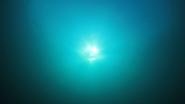 Okyanustaki Sualtı Video Görüntüleri Denizde Güneş Işığı — Stok video