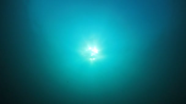 Images vidéo sous-marines dans l'océan. Lumière du soleil en mer .