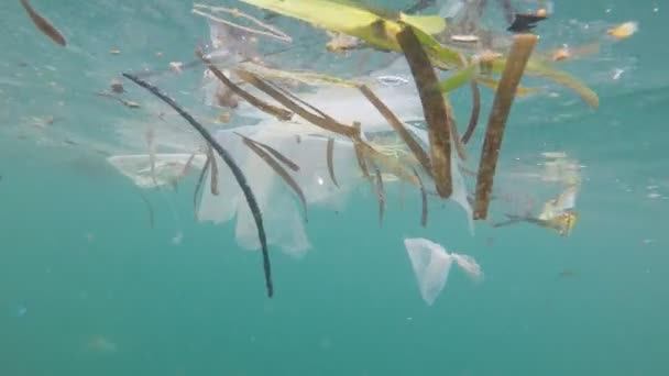 Semporna Malaisie Juin 2019 Pollution Plastique Dans Problème Environnemental Des — Video