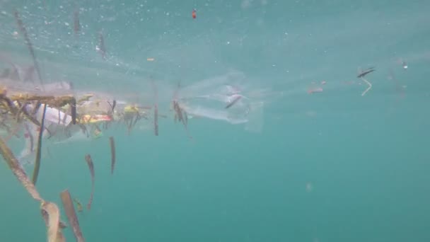 Semporna Malaysien Juni 2019 Ökologisches Problem Plastikverschmutzung Den Ozeanen — Stockvideo