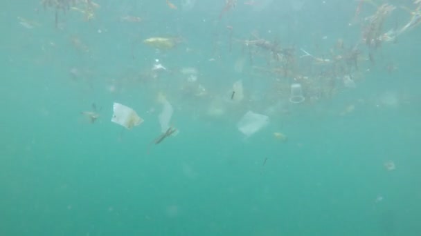 Ekologiskt Problem Plastförorening Havet — Stockvideo