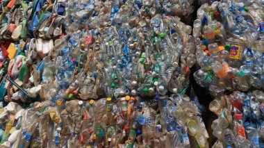Plastik şişeler geri dönüşüm için birikmiş