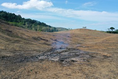 Ormanların yok edilmesi. Palmiye yağı tarlasına yol açmak için arazi temizlendi ve yandı.