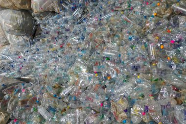 Plastik şişeler geri dönüşüm için birikmiş