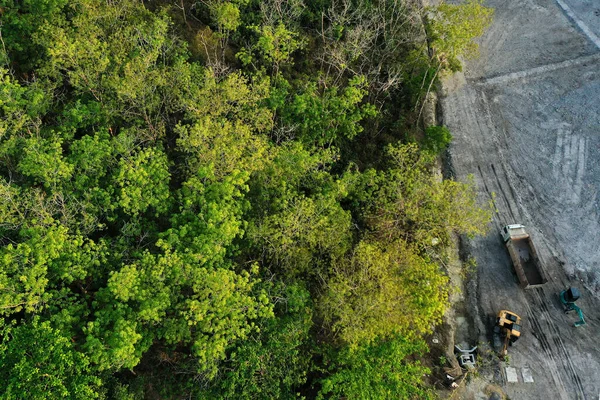 Deforestation. Land cleared and burned to make way for palm oil plantation