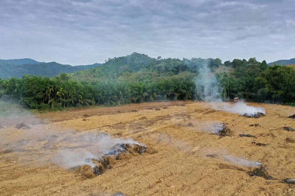 Déforestation Terrain Défriché Brûlé Pour Faire Place Plantation Huile Palme — Photo