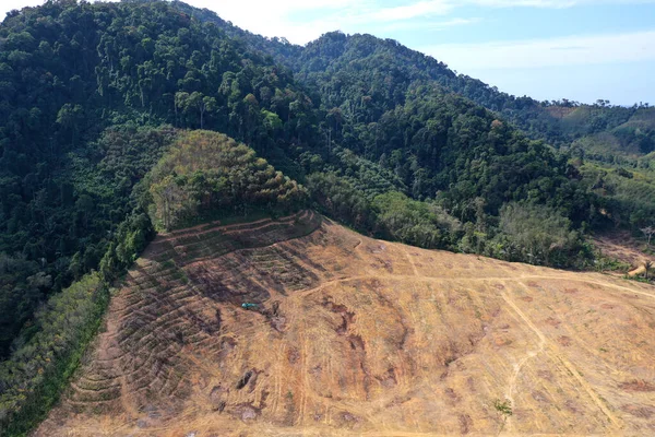 Deforestation Land Cleared Burned Make Way Palm Oil Plantation — Stock Photo, Image