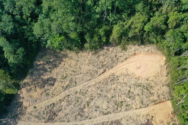 Deforestación Tierra Despejada Quemada Para Dar Paso Plantación Aceite Palma — Foto de Stock