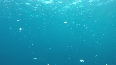 Okyanusta hava kabarcıkları yükseliyor