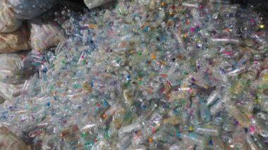 Plastik şişeler geri dönüşüm için birikmiş