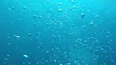 Okyanusta hava kabarcıkları yükseliyor