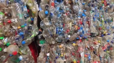 Plastik şişeler geri dönüşüm için birikmiş