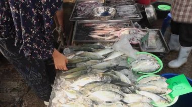 Pazarda taze balık, ton balığı, sardalya ve levrek.