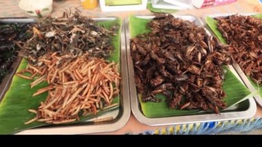 Akrepler, böcekler, çekirgeler, çekirgeler, kurbağalar ve böcekler Asya sokak pazarında pişirilip satıldı. Böcekler iyi protein kaynaklarıdır.