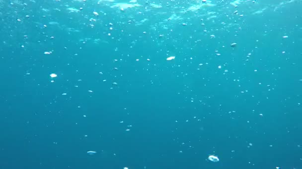 Bulles d'air s'élevant dans l'océan 