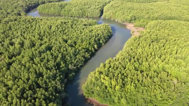 Tropisch Regenwoud Thailand Luchtdrone Zicht Het Bladerdak Van Het Bos — Stockvideo