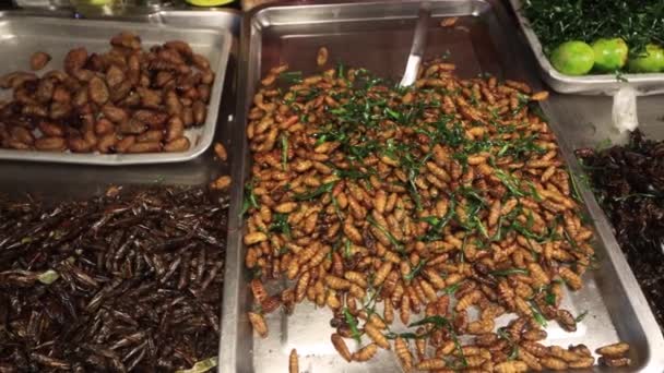 Escorpiones Insectos Grillos Saltamontes Ranas Insectos Cocinados Vendidos Mercado Callejero — Vídeo de stock