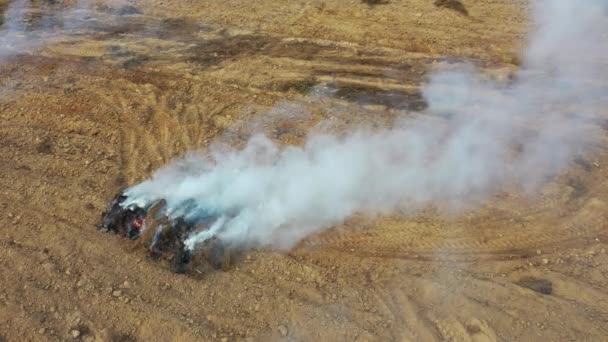 Ormanların Yok Edilmesi Palmiye Yağı Tarlasına Yol Açmak Için Arazi — Stok video