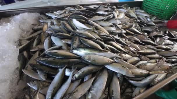 Street Skaldjur Marknaden Asien Med Tonfisk Och Sardiner Fisk — Stockvideo