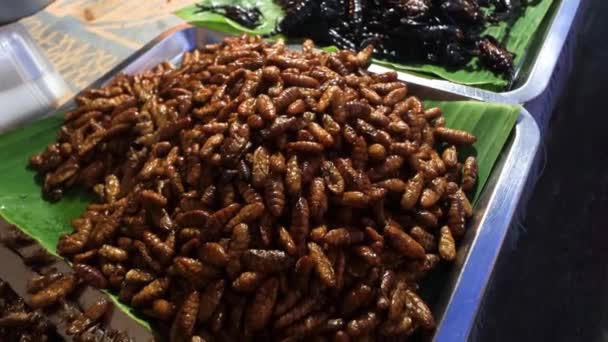 Škorpióni Brouci Cvrčci Kobylky Žáby Hmyz Vaření Prodávaní Asijském Trhu — Stock video