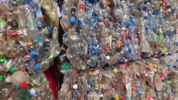 Plastic Bottles Piled Recycling — Stock Video