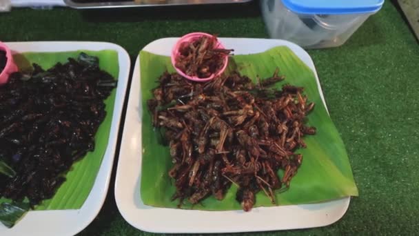 Skorpione Käfer Grillen Heuschrecken Frösche Und Insekten Kochten Und Verkauften — Stockvideo