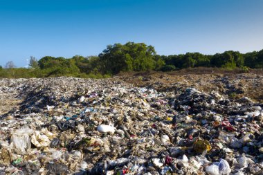 Plastik şişeler geri dönüşüm için birikmiş