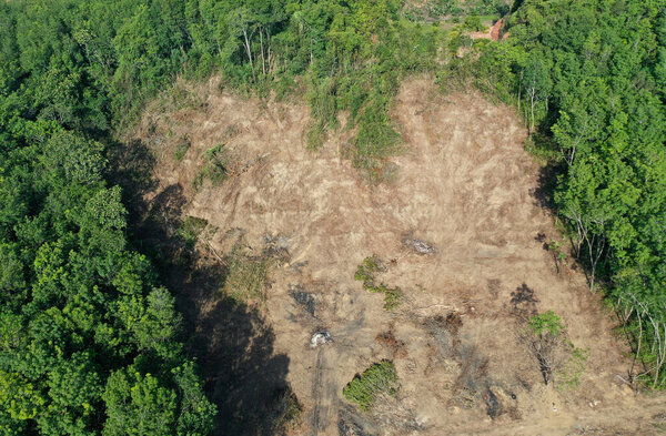 Вырубка лесов. Земля очищена и сожжена, чтобы освободить место для плантации пальмового масла
