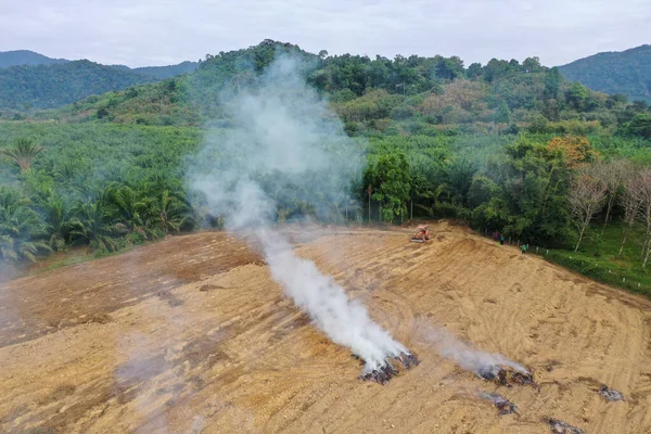 Déforestation Terrain Défriché Brûlé Pour Faire Place Plantation Huile Palme — Photo