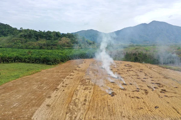 Ormanların yok edilmesi. Palmiye yağı tarlasına yol açmak için arazi temizlendi ve yandı.