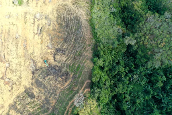 Avskoging Jord Ryddet Brent Plass Til Palmeoljeplantasjen stockbilde