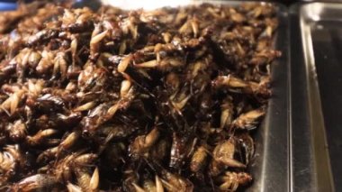 Akrepler, böcekler, çekirgeler, çekirgeler, kurbağalar ve böcekler Asya sokak pazarında pişirilip satıldı. Böcekler iyi protein kaynaklarıdır.