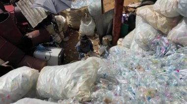 Plastik şişeler geri dönüşüm için birikmiş