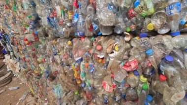 Plastik şişeler geri dönüşüm için birikmiş