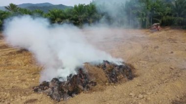 Ormanların yok edilmesi. Palmiye yağı tarlasına yol açmak için arazi temizlendi ve yandı.