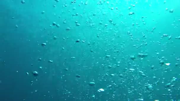 Air Bubbles Rising Ocean — Stock Video