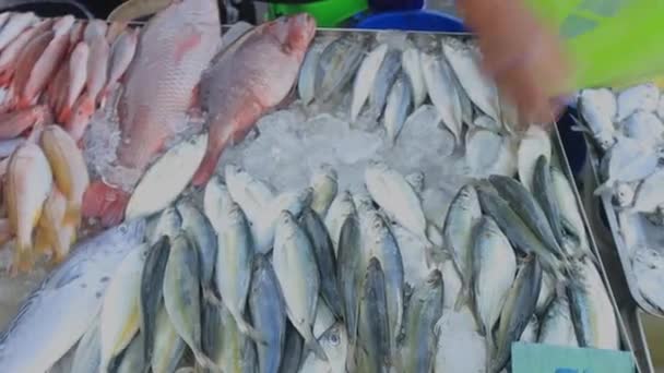 Street Skaldjur Marknaden Asien Med Tonfisk Och Sardiner Fisk — Stockvideo