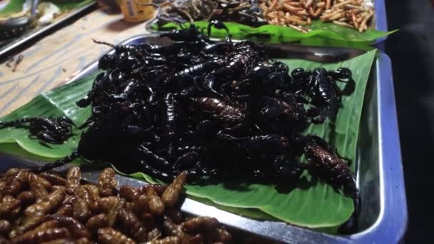 Scorpions Insectes Grillons Sauterelles Grenouilles Insectes Cuits Vendus Marché Rue — Video