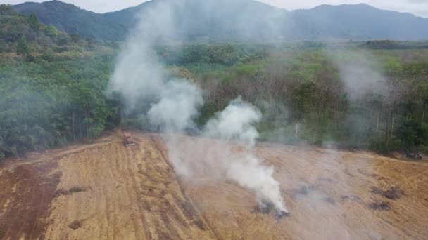 Déforestation. Terrain défriché et brûlé pour faire place à la plantation d'huile de palme 