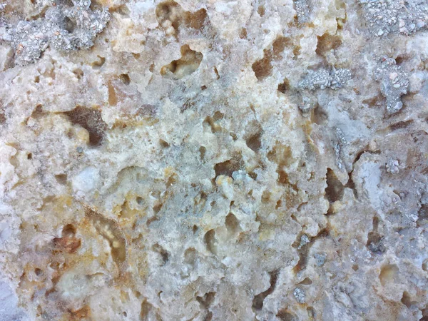 Çimento arkaplan kaplama desenli gri gözenekli taş duvar 